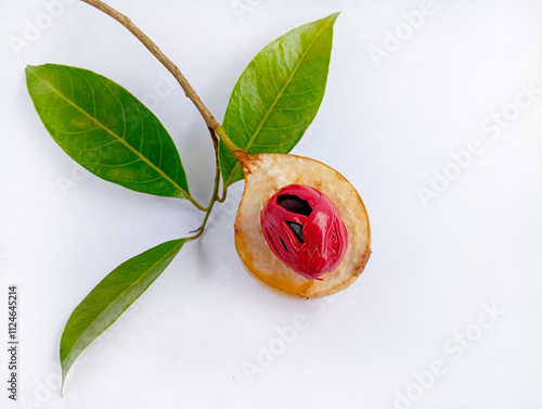 Myristica fragrans or nutmeg with leaves