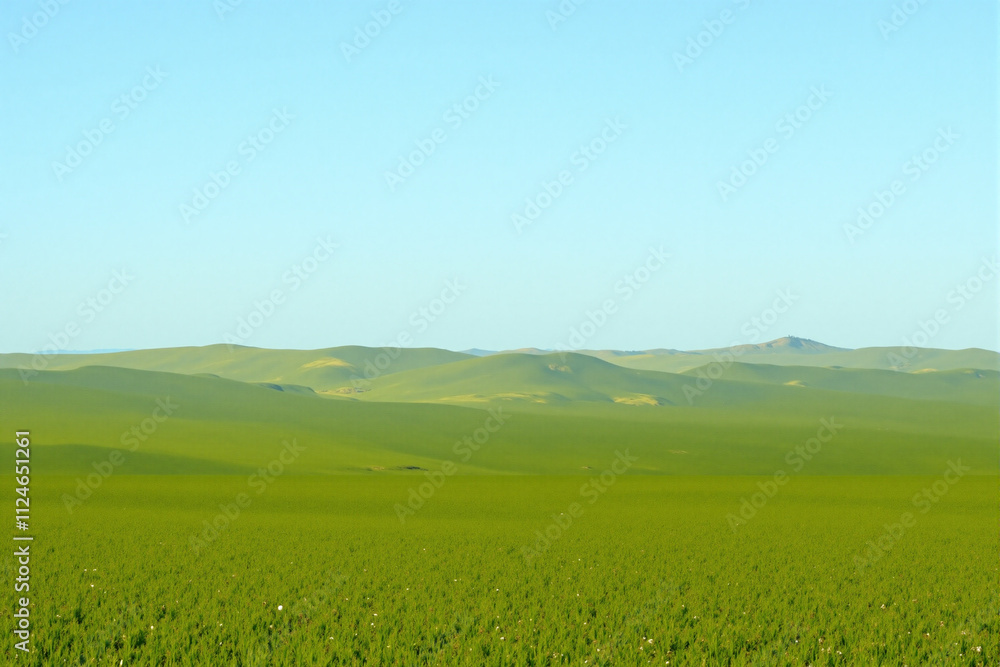 Fototapeta premium Rolling Hills