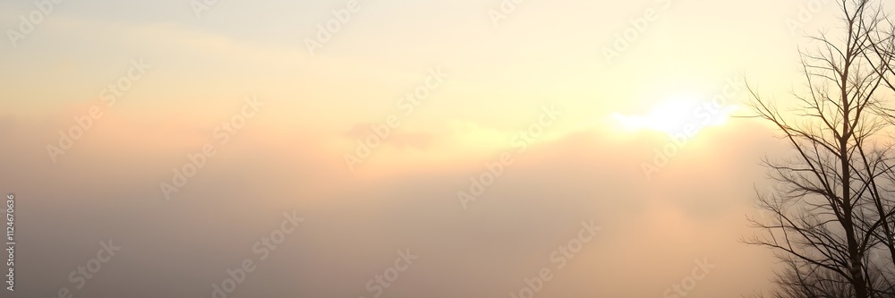 Radiant light rays emerging through fog with a silhouette of a tree Radiant light rays emerging through fog with a silhouette of a tree
