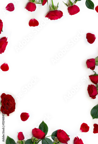 Red flowers roses, petals on a white background with space for text. Top view, flat lay