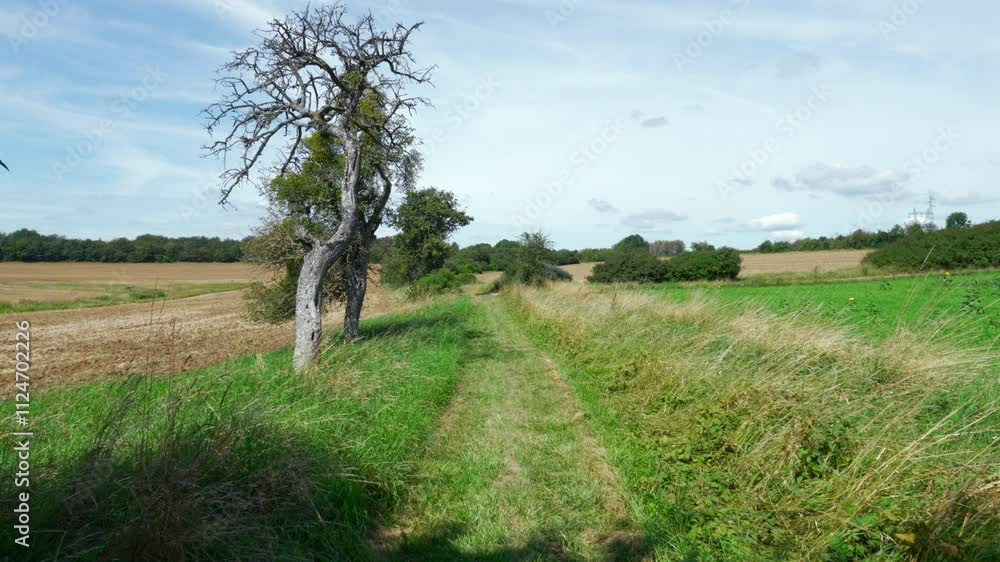 France French countryside rural land Europe in summer landscape grassland