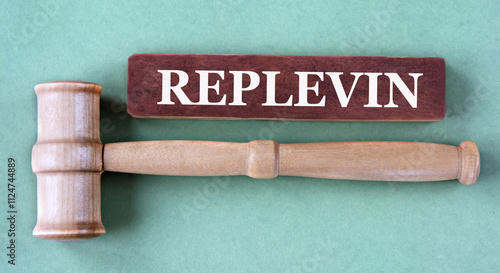 REPLEVIN - word on a white sheet with a judge's gavel and a stack of coins in the background photo