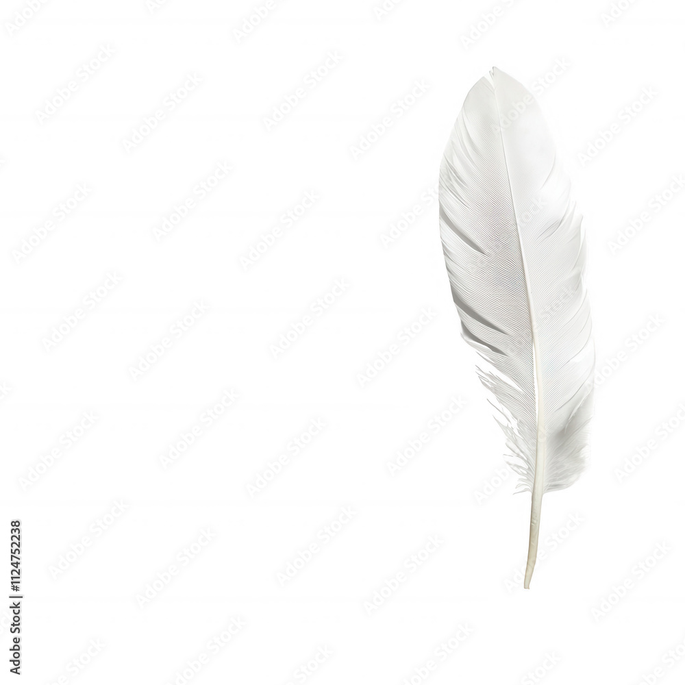 A close-up of a delicate white feather against a transparent background, symbolizing purity., isolated on a transparent background. A close-up of a delicate white feather against a transparent background, symbolizing purity., isolated on a transparent background.