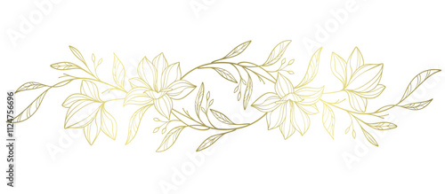 Sketch Floral Botany Collection. flower drawings. Black and white with line art on white backgrounds. Hand Drawn Botanical Illustrations.Vector.