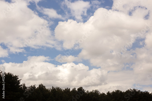 beautiful spring landscape in a sunny day