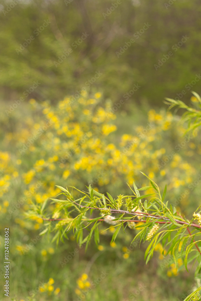 beautiful spring landscape in a sunny day beautiful spring landscape in a sunny day