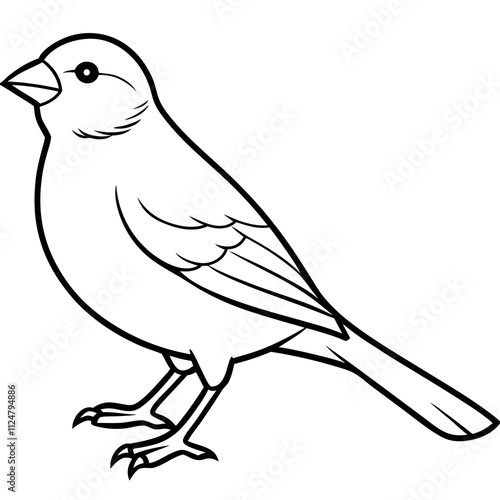 canary vector art illustration on white background