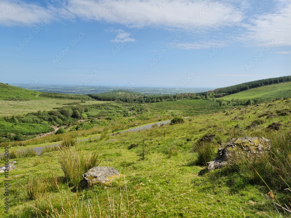 Obraz premium Mountainous Grassland with Trees Under a Cloudy Sky