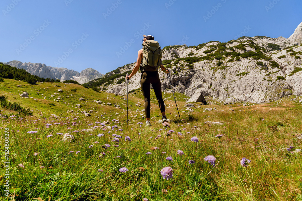 Young Female Traveler Hiking in Alpine Valley