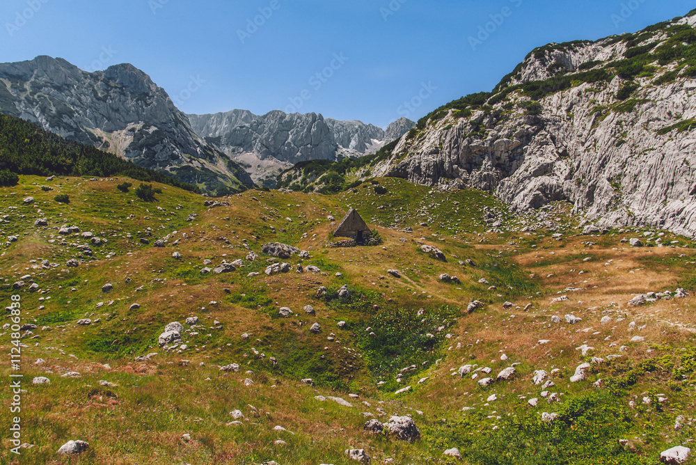 Abandoned Wooden Shepherds Hut in Mountain Landscape