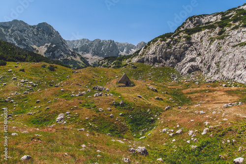 Obraz na płótnie Abandoned Wooden Shepherds Hut in Mountain Landscape w salonie