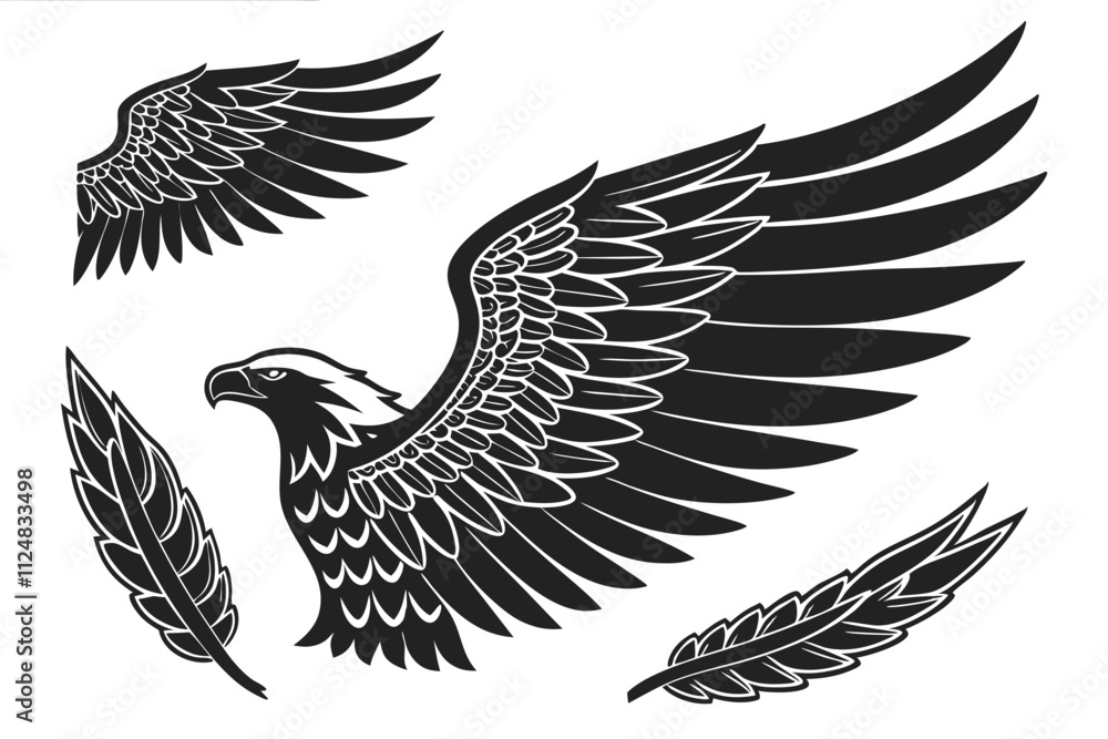 Obraz premium eagle with wings