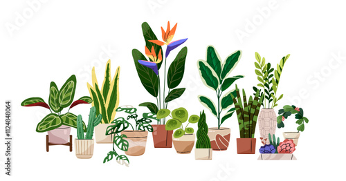 Composition of different houseplants. Green plants with leaves growing in pots. Home flowers in flowerpots. Bird of paradise, monstera, succulent. Flat isolated vector illustration on white background