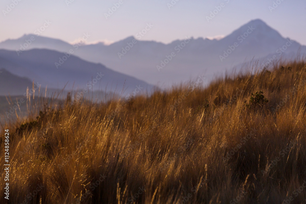 Fototapeta premium Mountains meadow