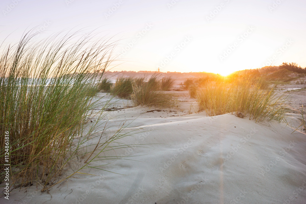 Sandy beach Sandy beach