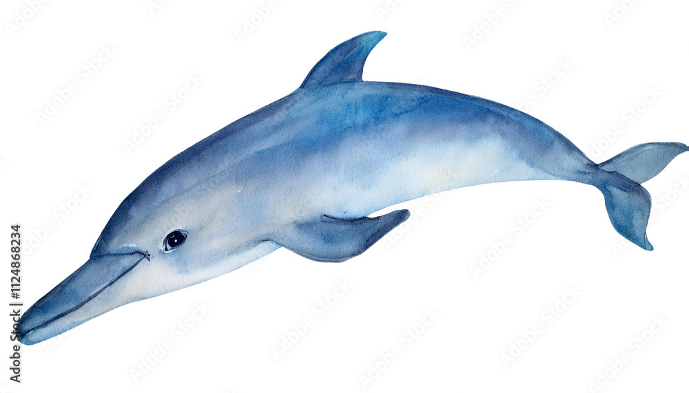 Obraz premium Watercolor Dolphin Painting Ocean Wildlife Marine Mammal Aquatic Animal Art