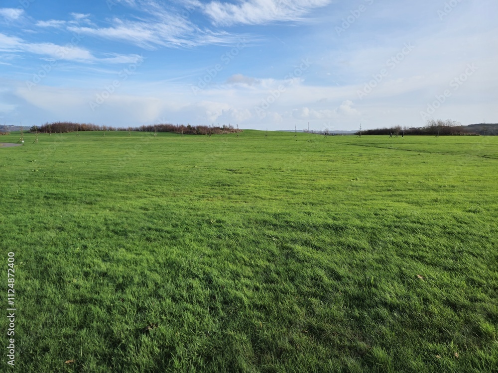 Green Irish pasture under cloudy summer sky background, picturesque field landscape Green Irish pasture under cloudy summer sky background, picturesque field landscape