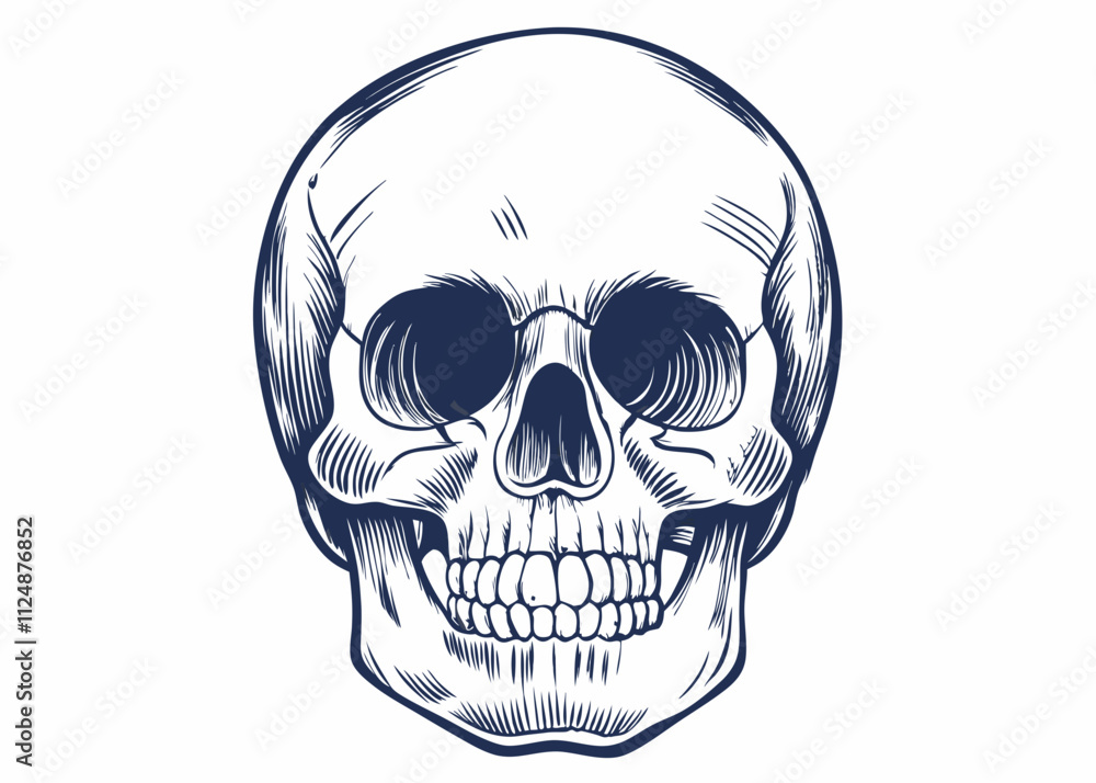 Skull Illustration Featuring Intricate Lines Skull Illustration Featuring Intricate Lines
