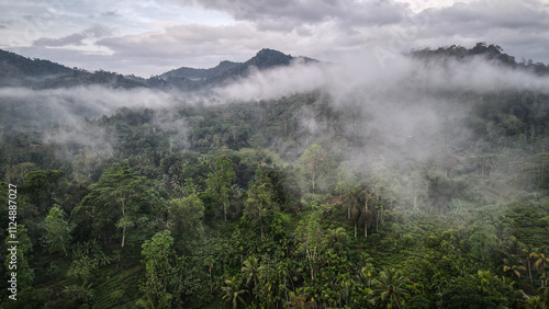 The aerial view of the Sinharaja Reserve in Sri Lanka