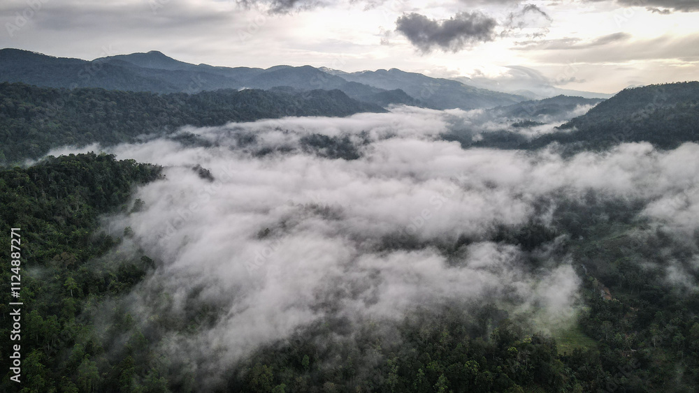 The aerial view of the Sinharaja Reserve in Sri Lanka The aerial view of the Sinharaja Reserve in Sri Lanka