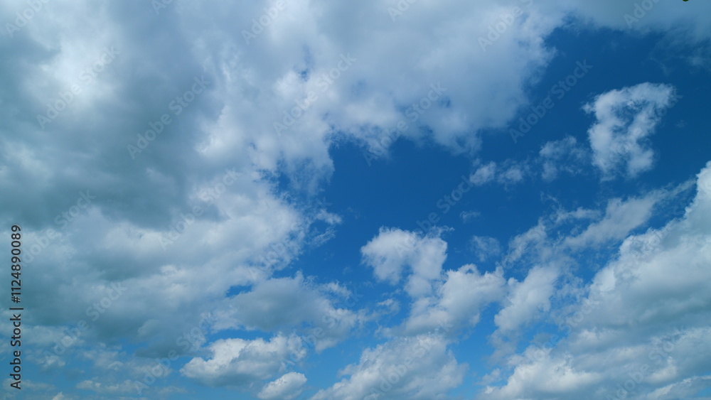 Fototapeta premium Cumulus Cloudscape. Beautiful Movement Of Puffy Fluffy White Clouds Fly Across Clear Blue Sky.