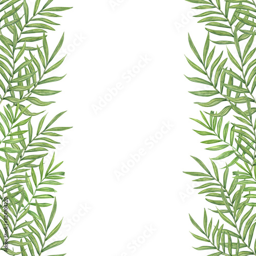 Green dypsis, areca palm or Cycas leaves vertical border with empty space for text. Tropical tree leaf floral summertime illustration. Frame for greeting card, wedding invitation
