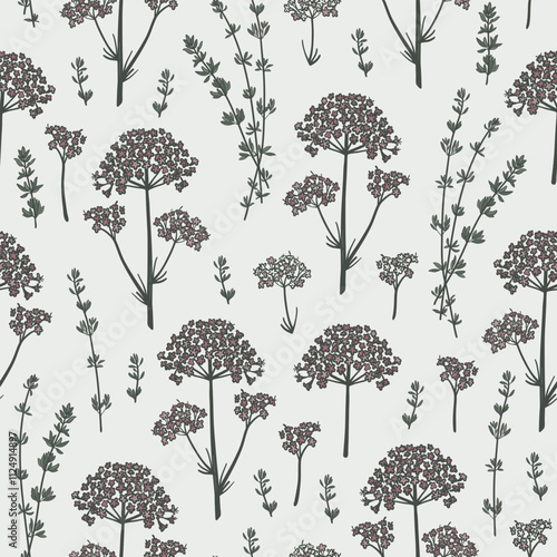 Seamless pattern with hand drawn valerian and thyme plants. Wild medical plant design in natural colors