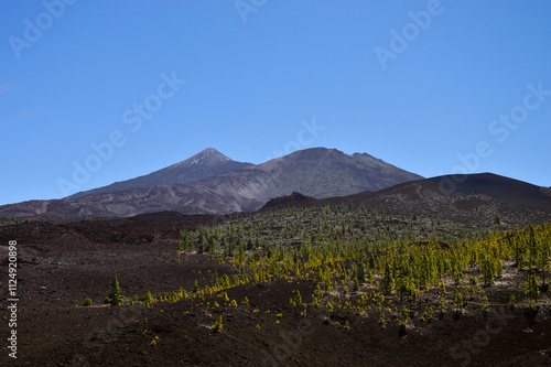 mount teide tenerife