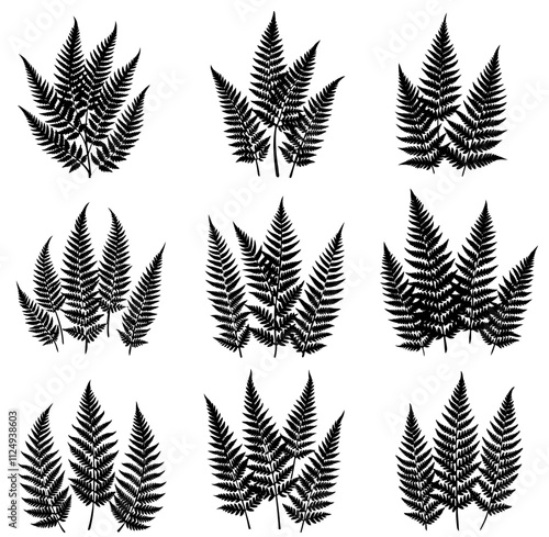 Fern leaf vector illustration set isolated on white