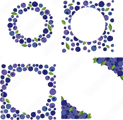 Blueberry circle round frame set. Blueberries with leaves, delicious blueberries round graphic line vector background illustration. Juicy blueberry design with place for text and logo