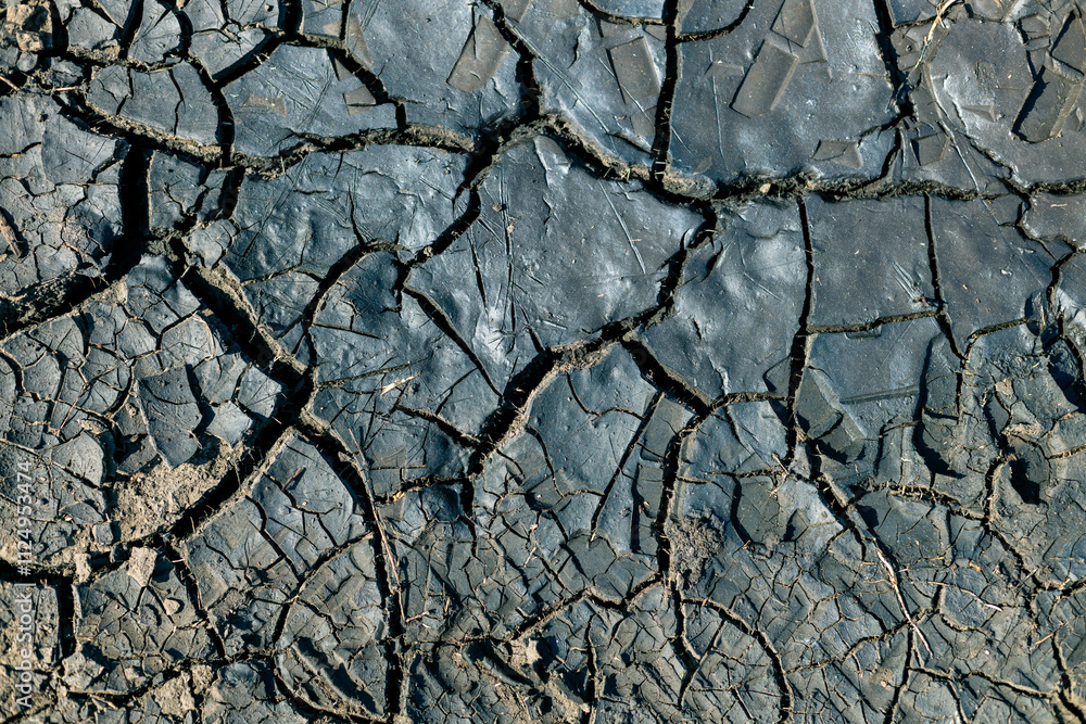 Fototapeta premium A cracked and broken surface, possibly a rock or a piece of concrete