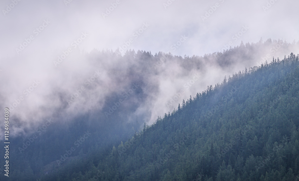 Fototapeta premium Forested mountains in clouds and fog, cloudy morning, natural light 