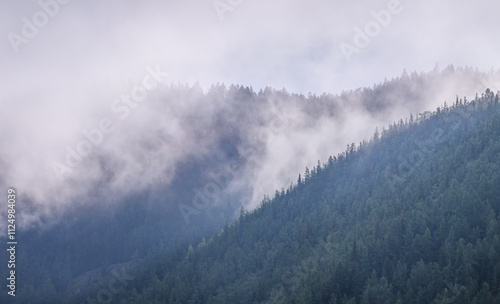 Forested mountains in clouds and fog, cloudy morning, natural light 