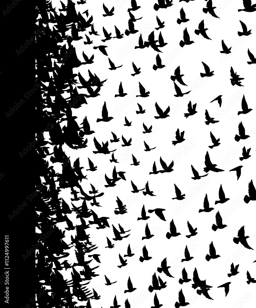 bird flock pattern bird flock pattern