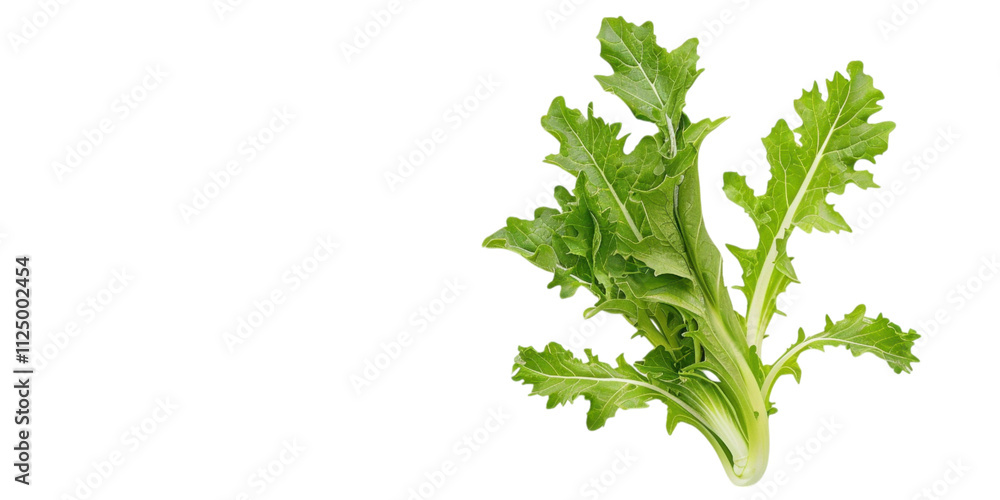 Vibrant Green Leafy Vegetable: Fresh and Healthy Vibrant Green Leafy Vegetable: Fresh and Healthy