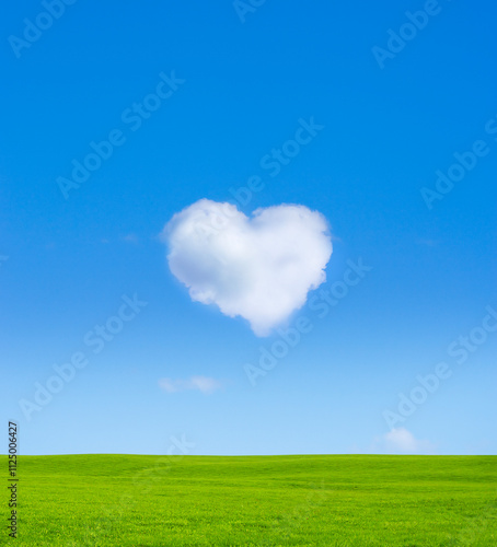 Herzwolke in Blauem Himmel und Wiese
