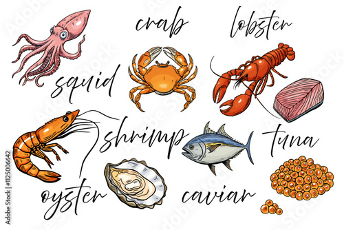 Seafood, menu set. Outline , line vector drawing, hand drawn food.
