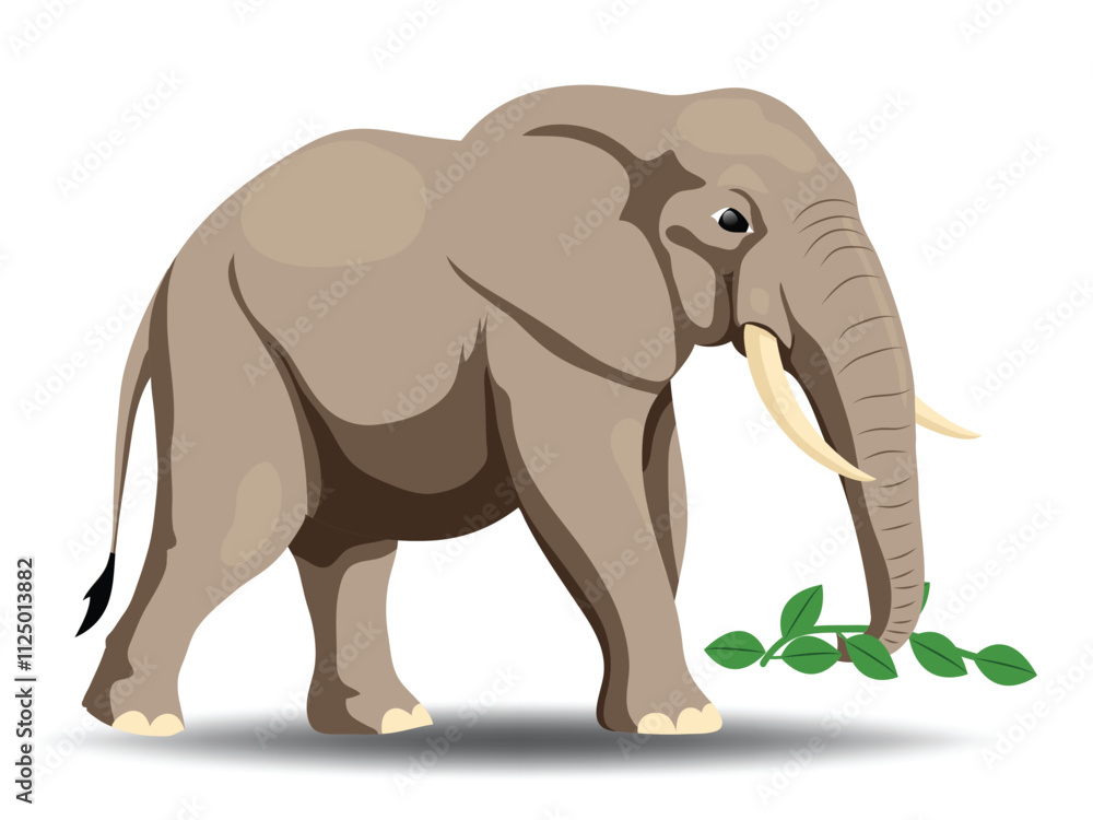 Illustration of Herbivores Elephant Feeding on Plants Illustration of Herbivores Elephant Feeding on Plants
