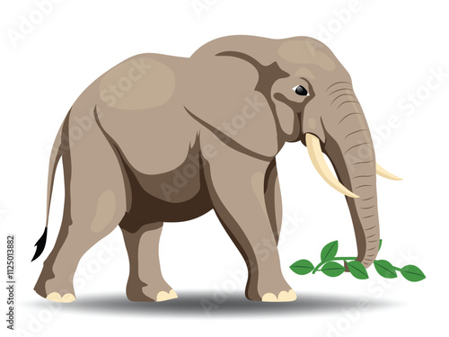 Illustration of Herbivores Elephant Feeding on Plants