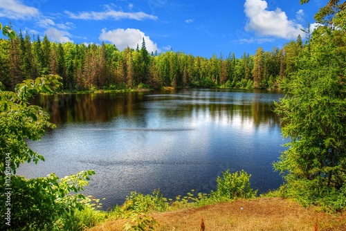 Fototapeta Naklejka Na Ścianę i Meble -  A picturesque view of a lake surrounded by a green pine forest.