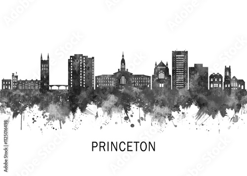 Princeton New Jersey Skyline BW, abstract painting travel illustration urban art modern downtown landmarks skyscrapers colorful artwork architecture photo