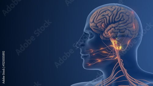 Nerve Dysfunction Causing Pain in Facial Region