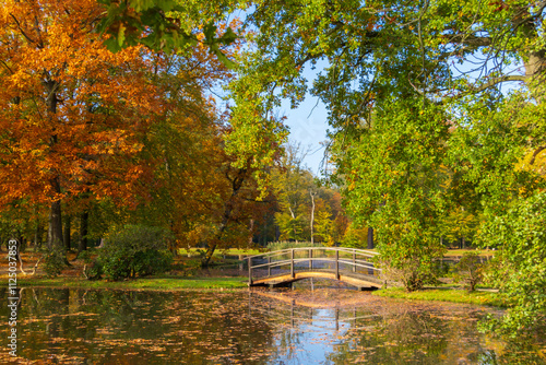 zabeltitz,grossenhain,meissen,sachsen,dorf,hauptstrasse,park,barockgarten,wkbilder,herbst,2024,baum,linde