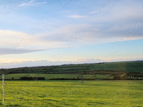 Highland Landscape with Trees and Grass Under Cloudy Sky