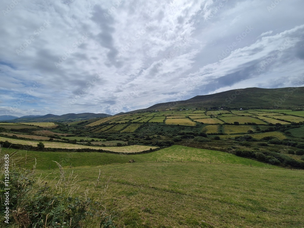 Mountain Landscape Under Cloudy Sky with Grassland Terrain Mountain Landscape Under Cloudy Sky with Grassland Terrain