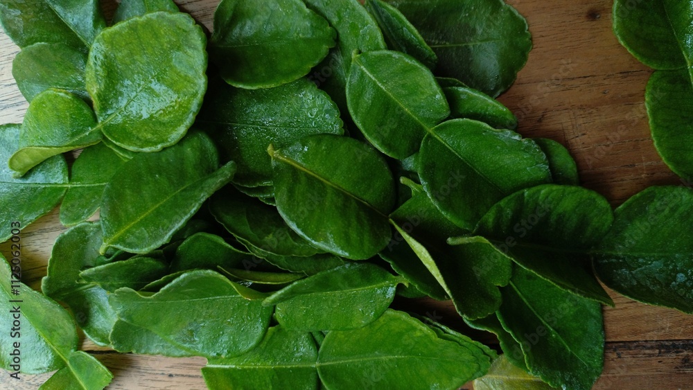 Fototapeta premium Top view of fresh green citrus leaf