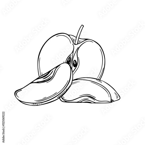 Vector black and white apple half and slice fruit hand drawn sketch engraving illustration. Organic natural health cutting food monochrome flat for poster, package, recipe design