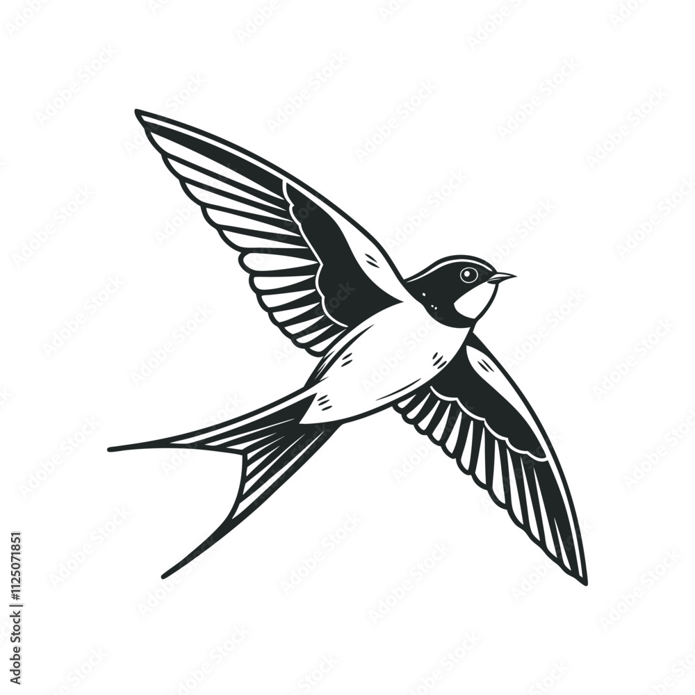 Fototapeta premium black and white bird