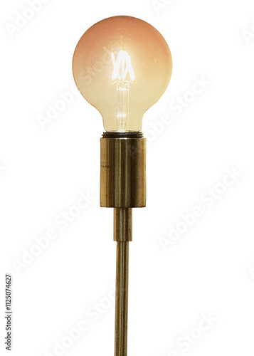 bulb isolated on white