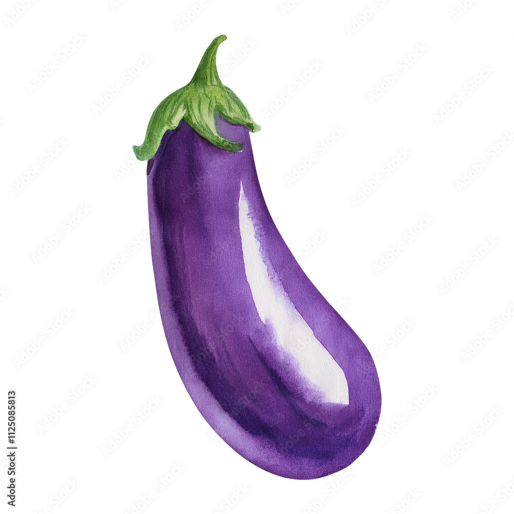 Watercolor Eggplant Purple Vegetable Food Illustration Fresh Produce Kitchen Ingredient Culinary